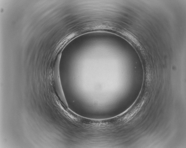 X0000059060793200510171938