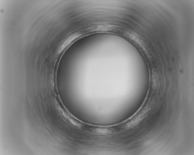 X0000059060794200510171938