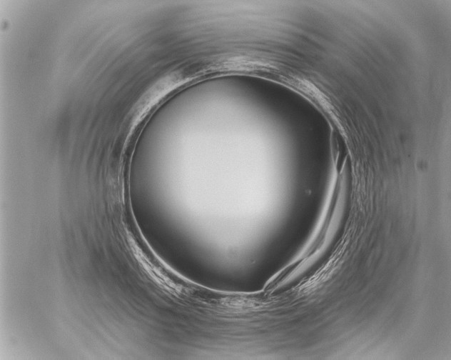 X0000059060795200510171938