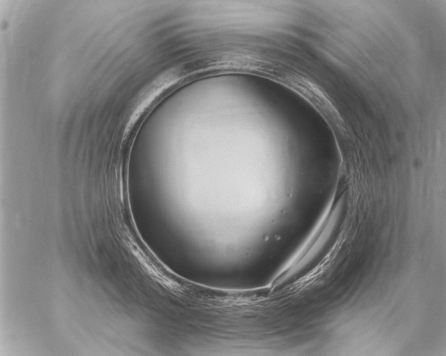 X0000059060796200510171938