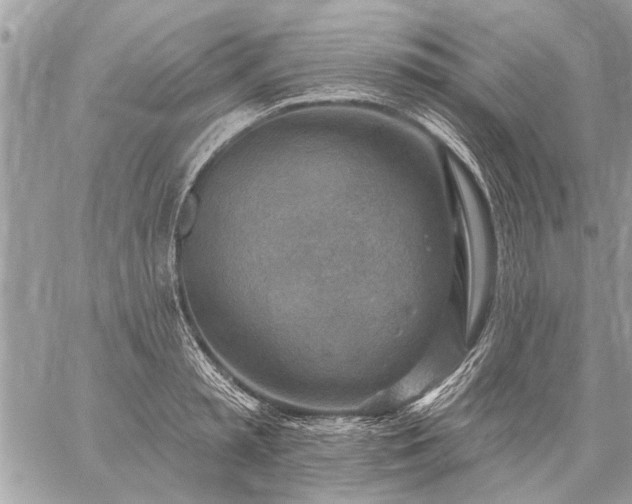 X0000059060797200510171938