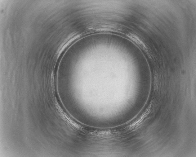 X0000059060798200510171938