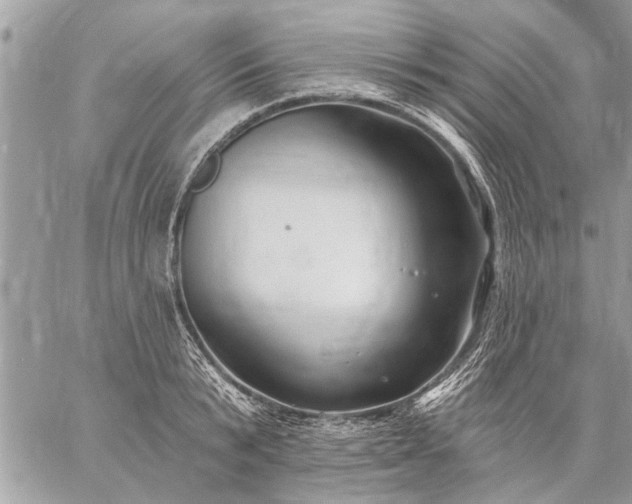 X0000059060799200510171938