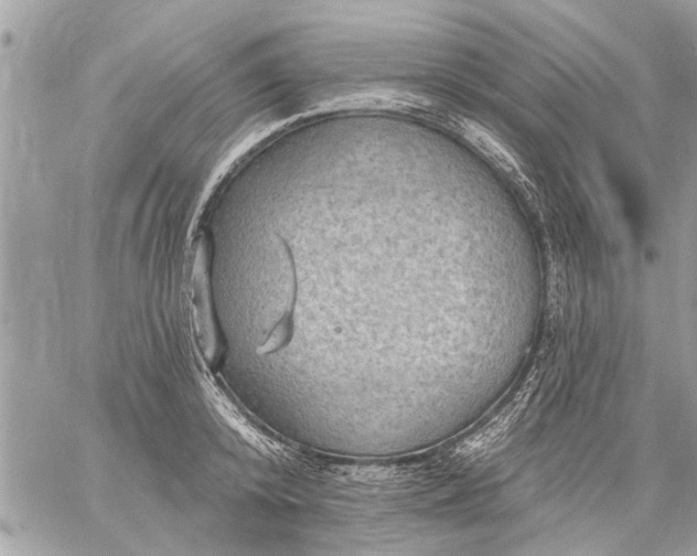 X0000059060800200510171938