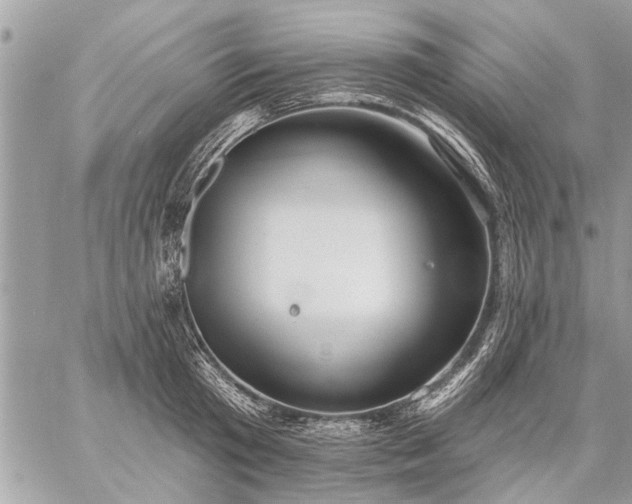 X0000059060801200510171938