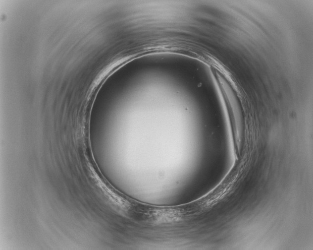 X0000059060803200510171938