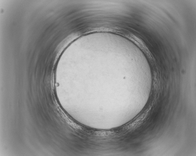 X0000059060804200510171938