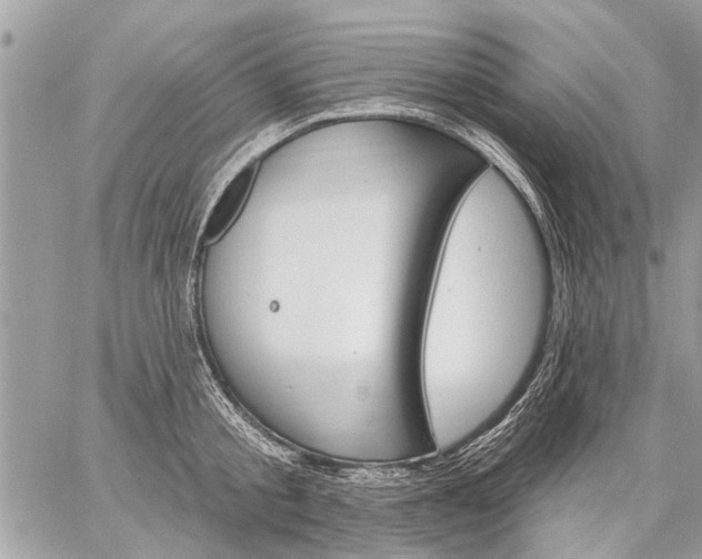 X0000059060805200510171938