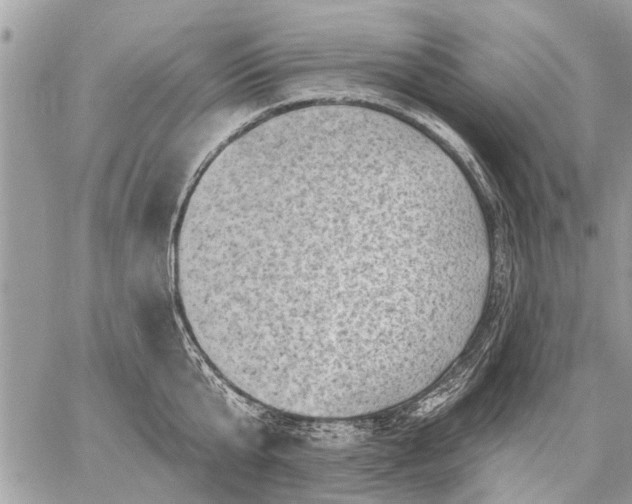 X0000059060807200510171938