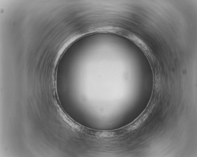 X0000059060808200510171938