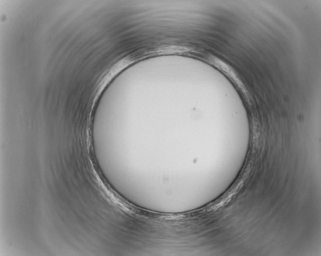 X0000059060810200510171938