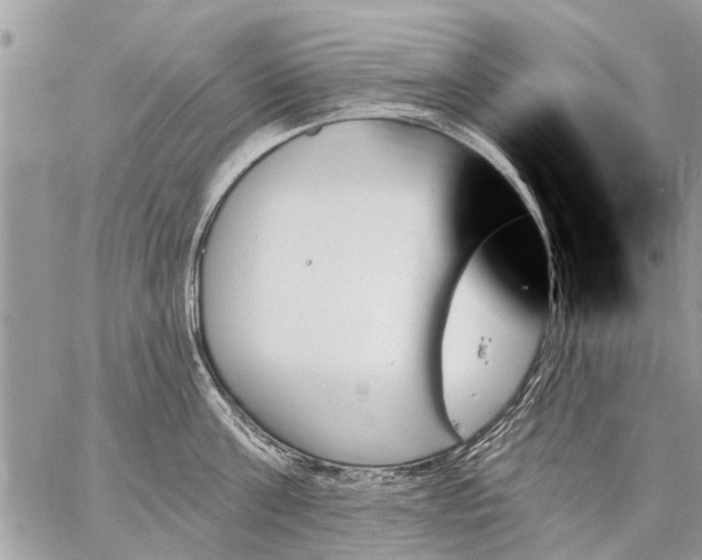 X0000059060811200510171938