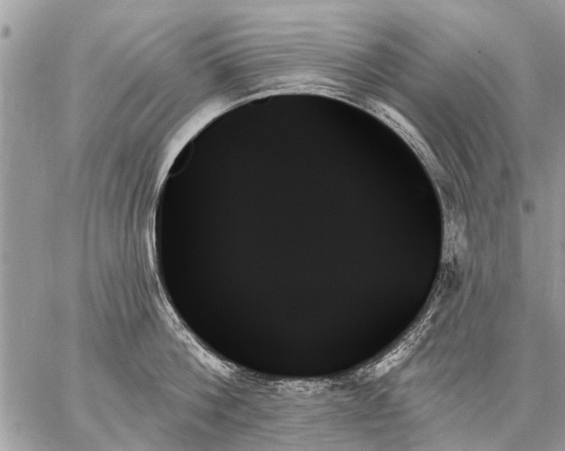 X0000059060812200510171938