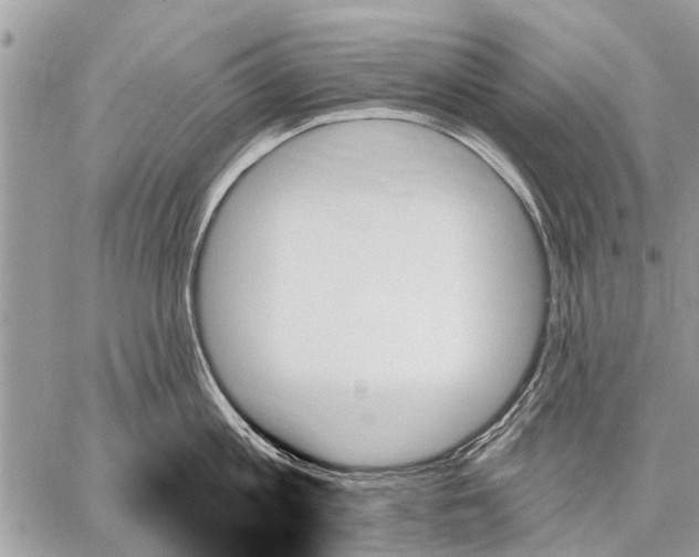 X0000059060813200510171938