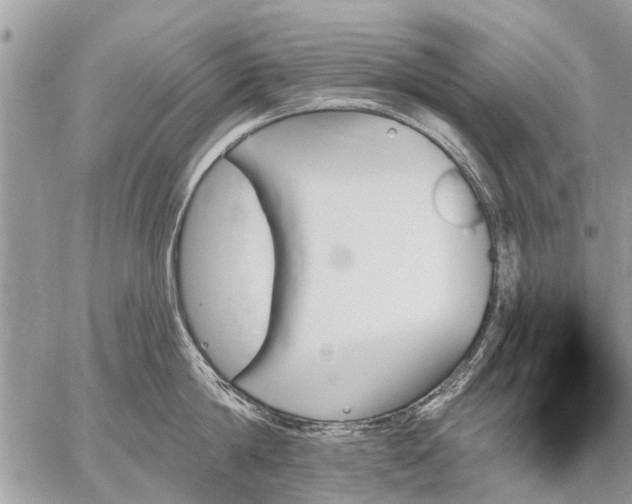 X0000059060814200510171938