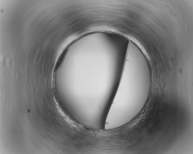 X0000059060815200510171938