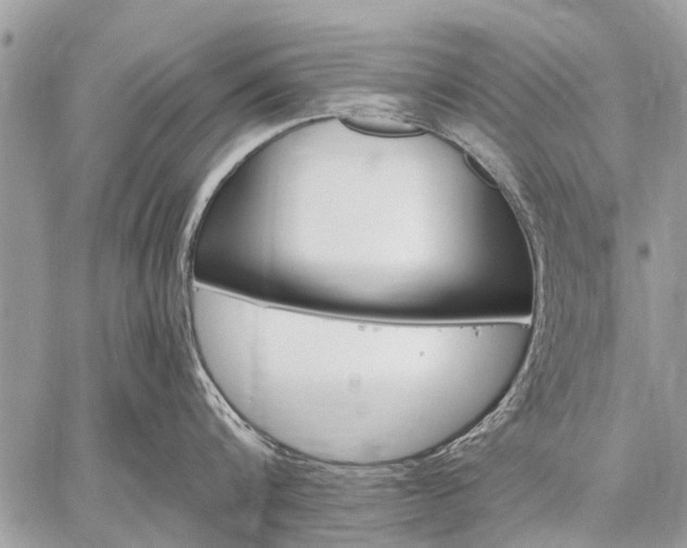 X0000059060816200510171938