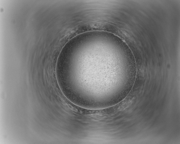 X0000059060817200510171937