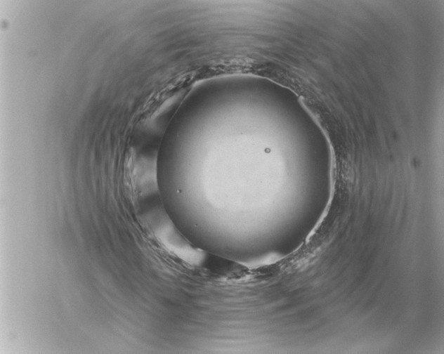 X0000059060818200510171937