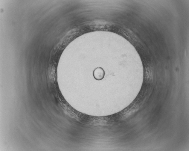 X0000059060820200510171937