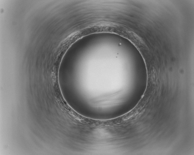 X0000059060821200510171937