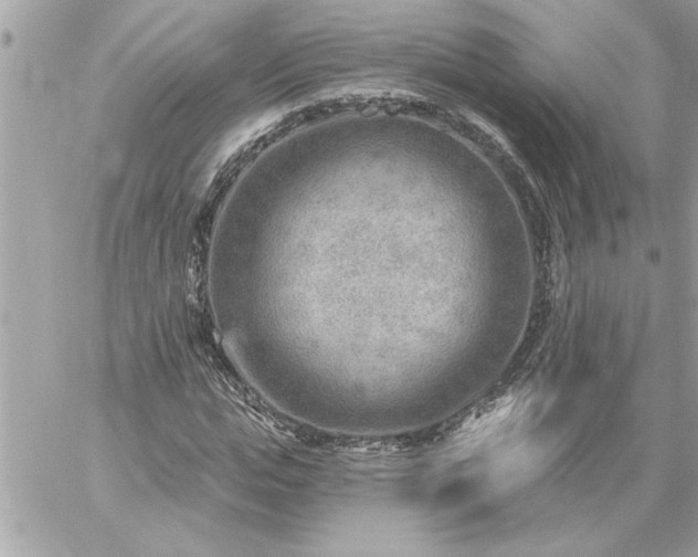 X0000059060823200510171937