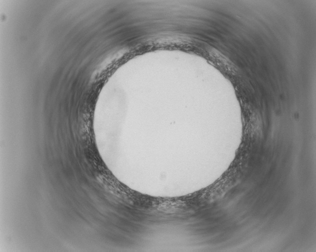 X0000059060824200510171937