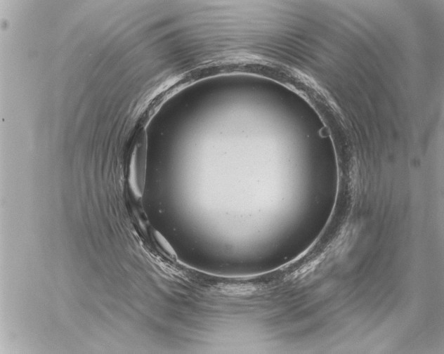 X0000059060825200510171937