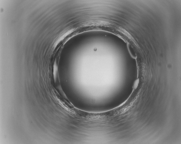 X0000059060826200510171937