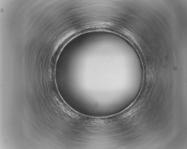 X0000059060827200510171937