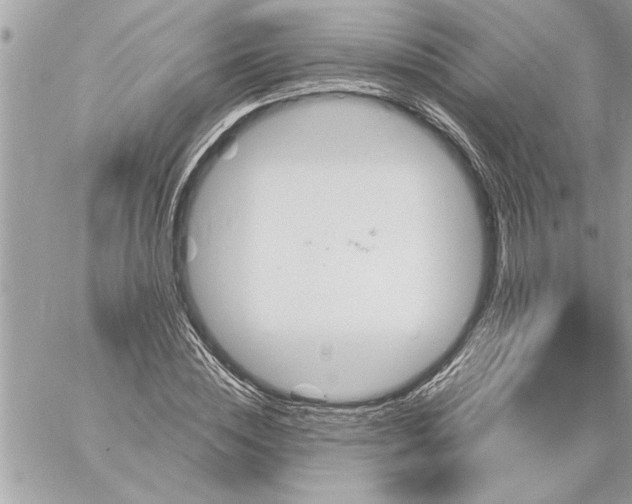 X0000059060828200510171937