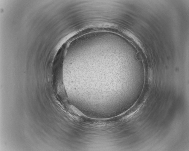 X0000059060829200510171937