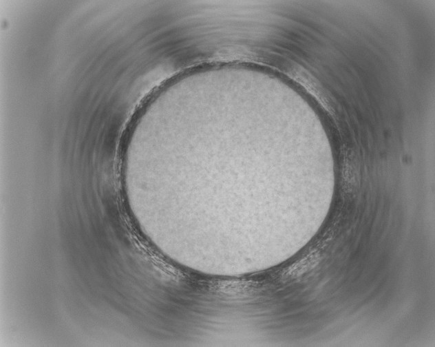 X0000059060832200510171937