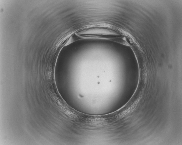 X0000059060833200510171937