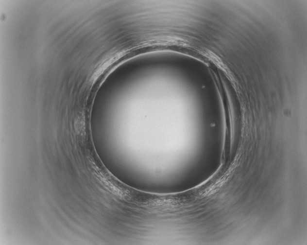 X0000059060834200510171937