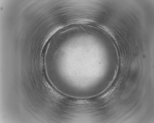 X0000059060835200510171937