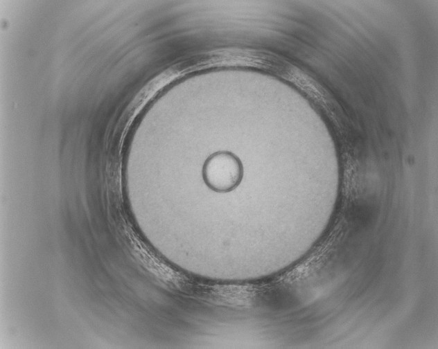 X0000059060836200510171937