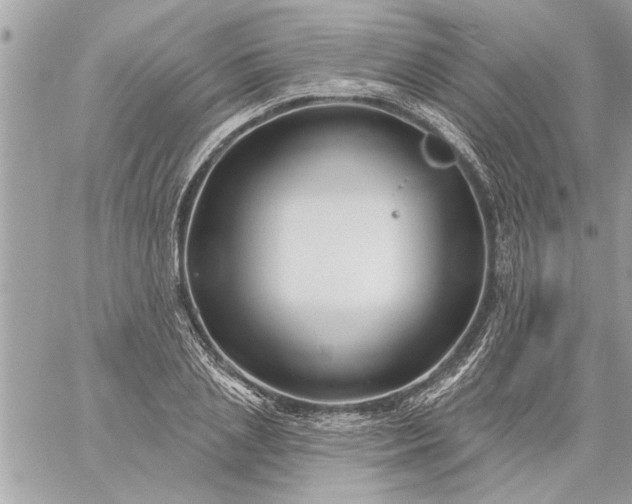 X0000059060837200510171937