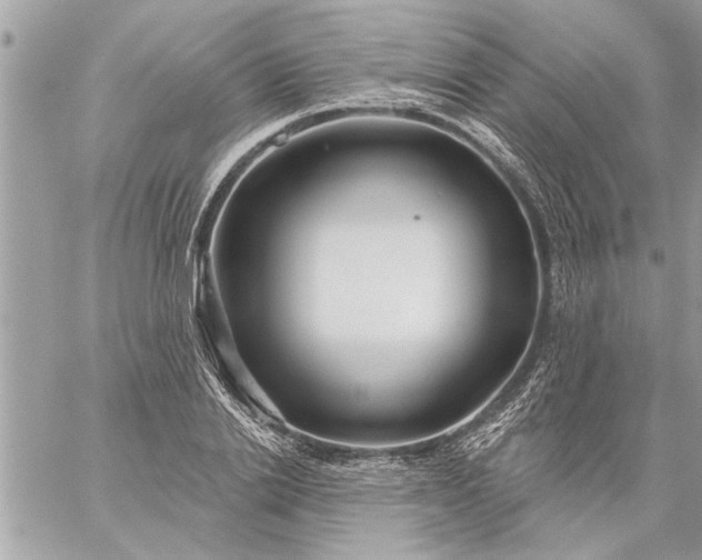 X0000059060838200510171937