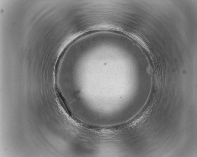 X0000059060839200510171937