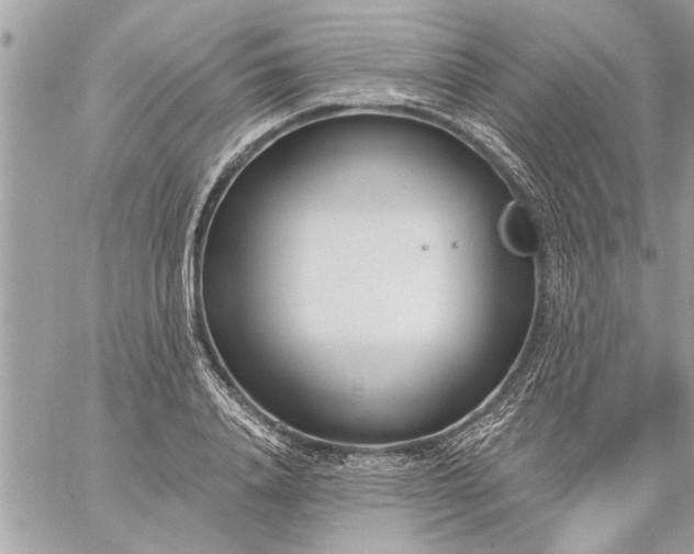 X0000059060840200510171937