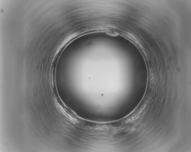 X0000059060843200510171937