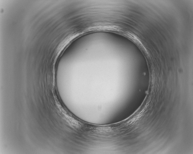 X0000059060844200510171937