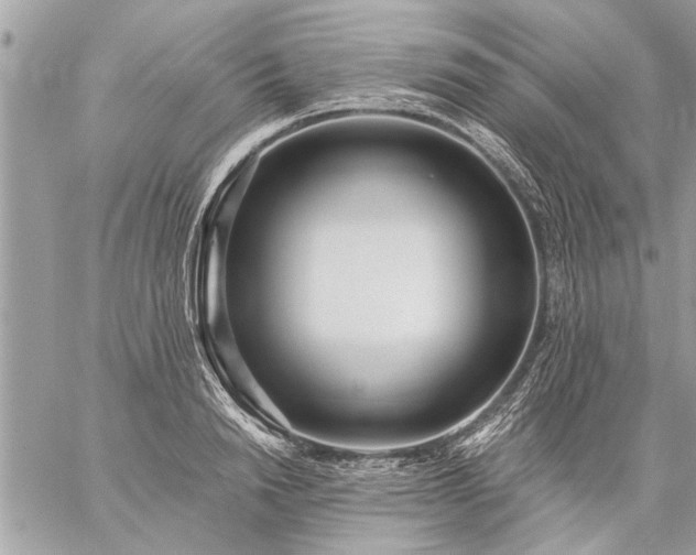 X0000059060846200510171937