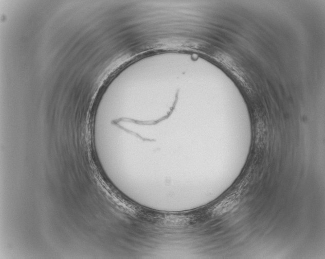 X0000059060848200510171937