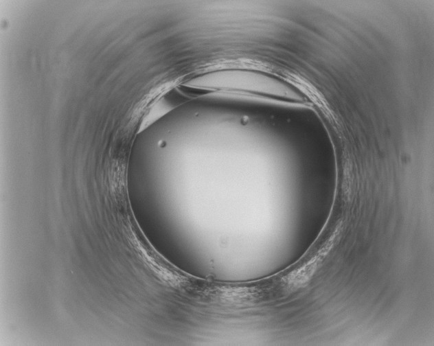 X0000059060849200510171937