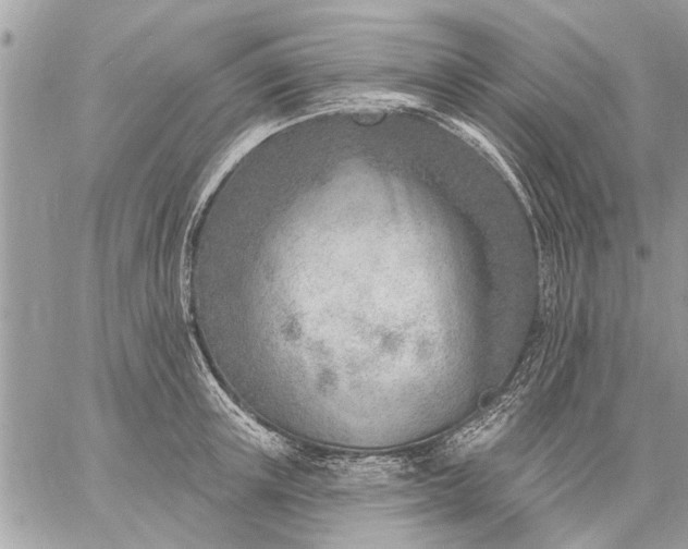 X0000059060851200510171937