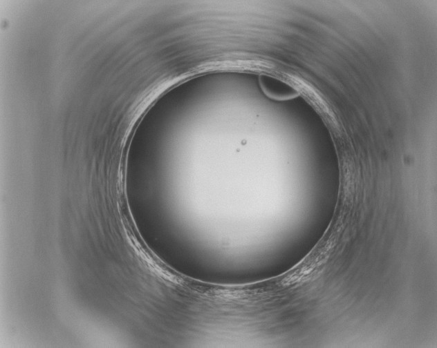 X0000059060852200510171937