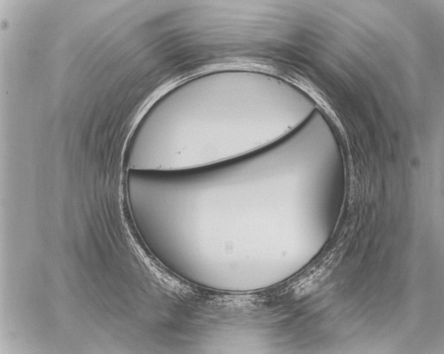 X0000059060853200510171937