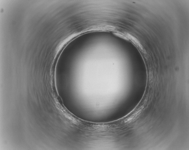 X0000059060854200510171937